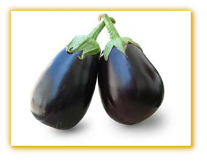 Eggplant GVS 19001 F1 Hybrid