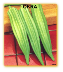 Okra Clemson Spineless 80